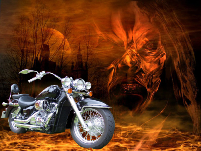 Honda Shadow V twin cruiser